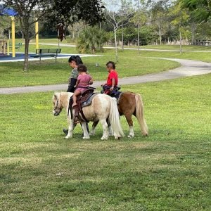 Pony Rides