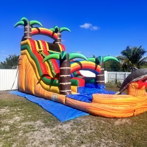 20ft Dolphin Water Slide