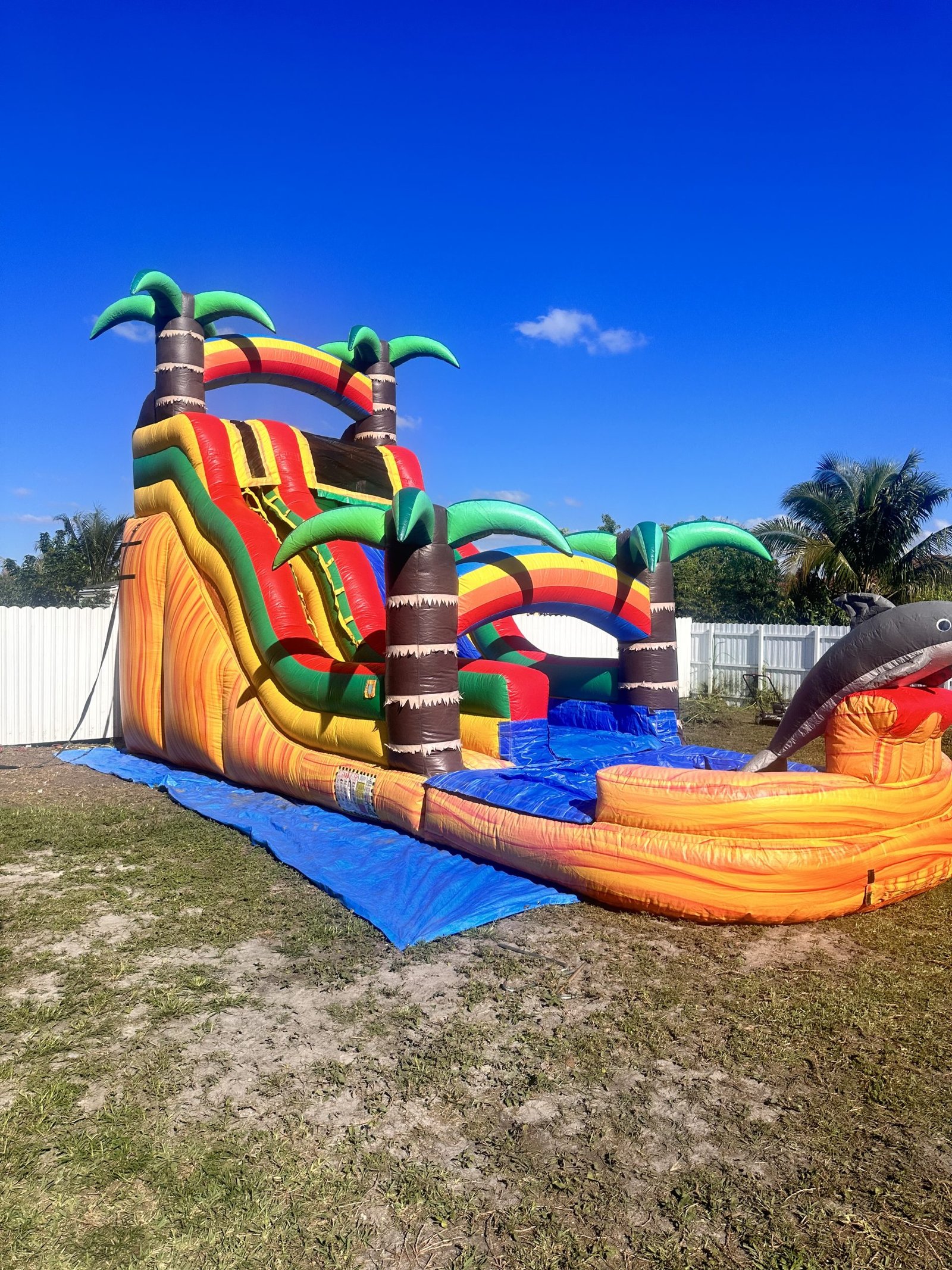 20ft Dolphin Water Slide
