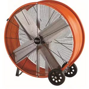 Medium Fan