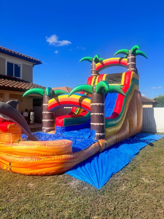 20ft Dolphin Slide 